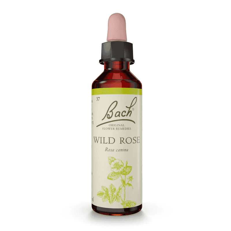 Wild Rose Bach™ Original Flower Remedy 20ml Wild Rose Bach™ Original Flower Remedy 20ml