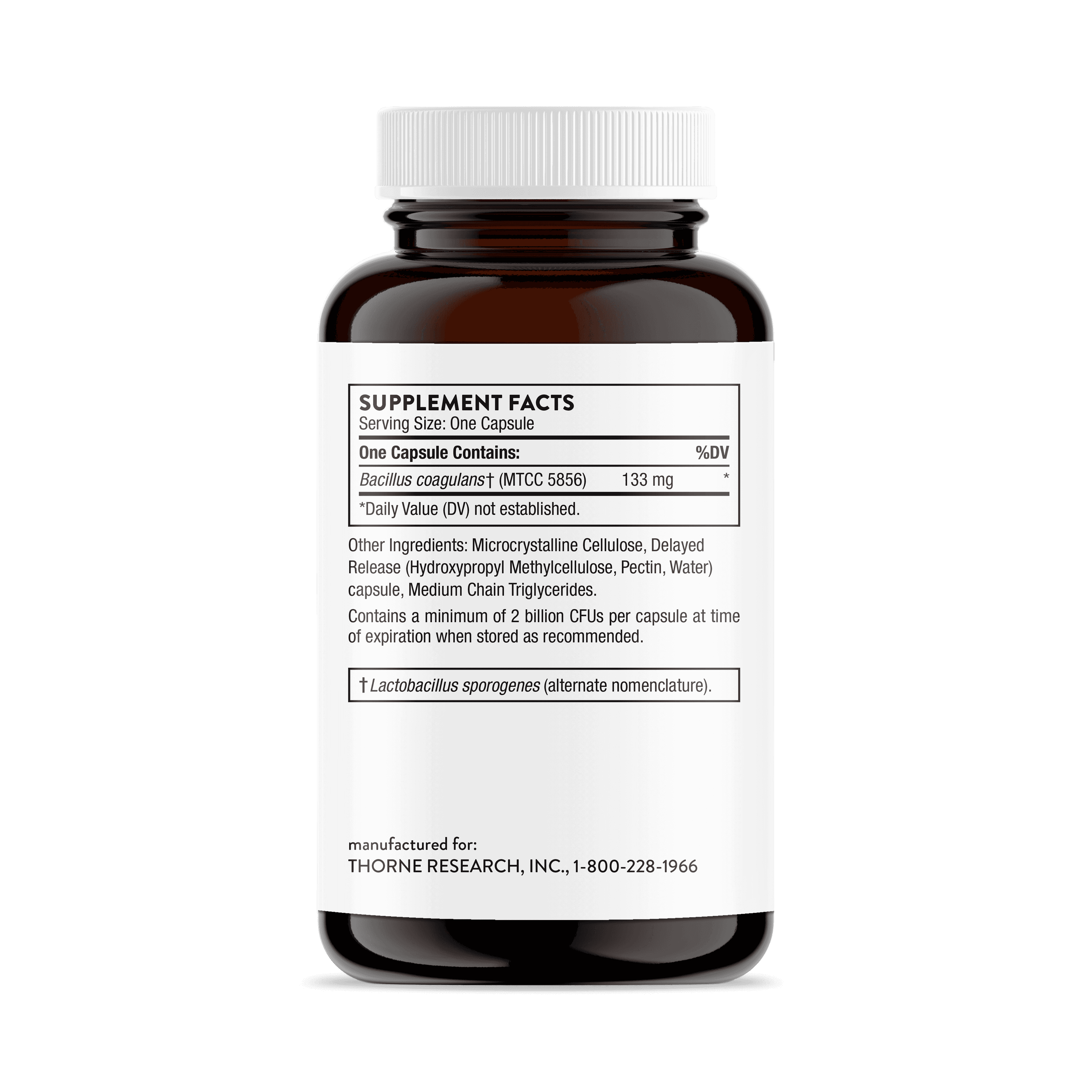 Thorne Research Bacillus Coagulans 60 kap Thorne Research Bacillus Coagulans 60 kap