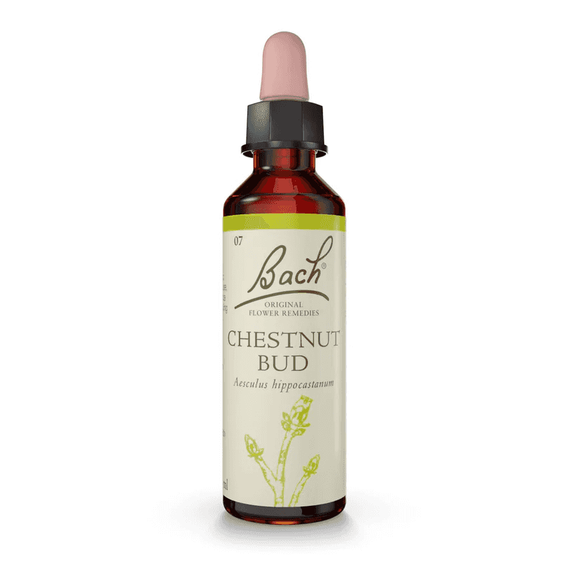 Chestnut Bud Bach™ Original Flower Remedy 20ml Chestnut Bud Bach™ Original Flower Remedy 20ml