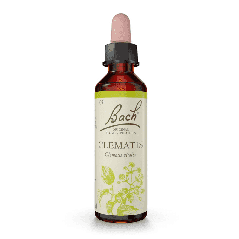 Clematis Bach™ Original Flower Remedy 20ml Clematis Bach™ Original Flower Remedy 20ml