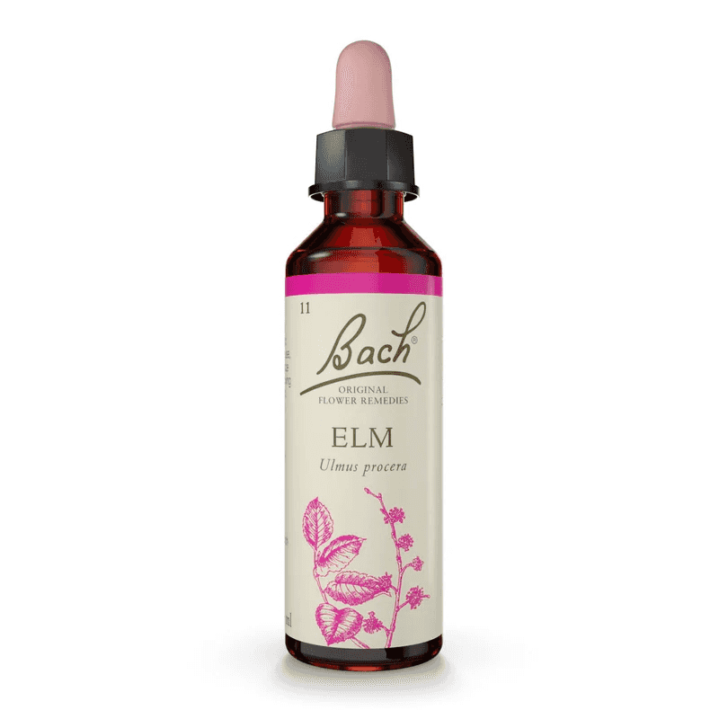 Elm Bach™ Original Flower Remedy 20ml Elm Bach™ Original Flower Remedy 20ml