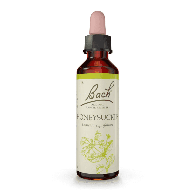 Honeysuckle Bach™ Original Flower Remedy 20ml Honeysuckle Bach™ Original Flower Remedy 20ml