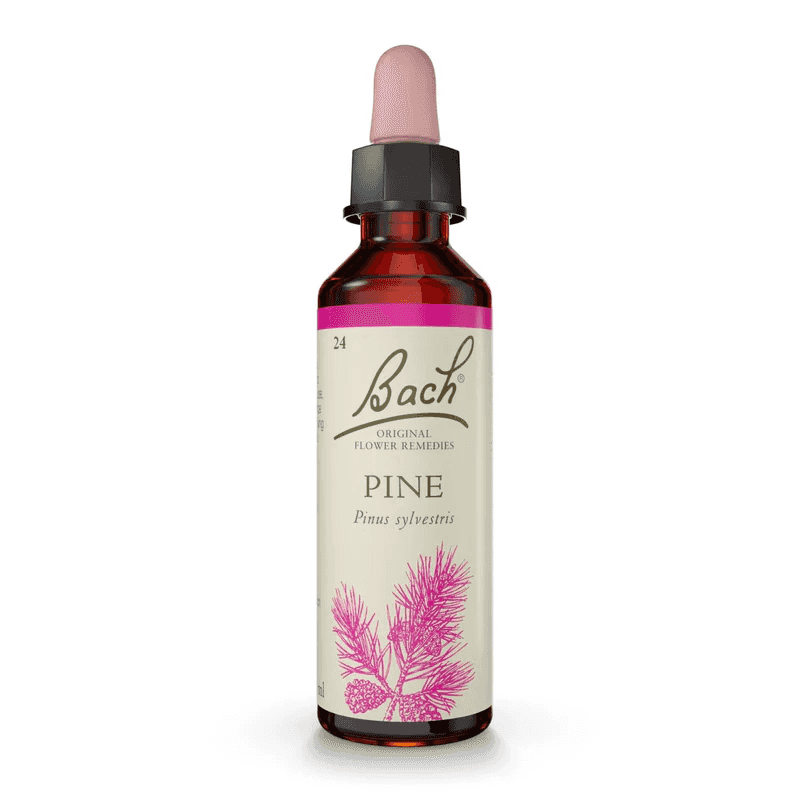 Pine Bach™ Original Flower Remedy 20ml Pine Bach™ Original Flower Remedy 20ml