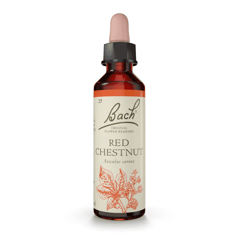 Red Chestnut Bach™ Original Flower Remedy 20ml Red Chestnut Bach™ Original Flower Remedy 20ml