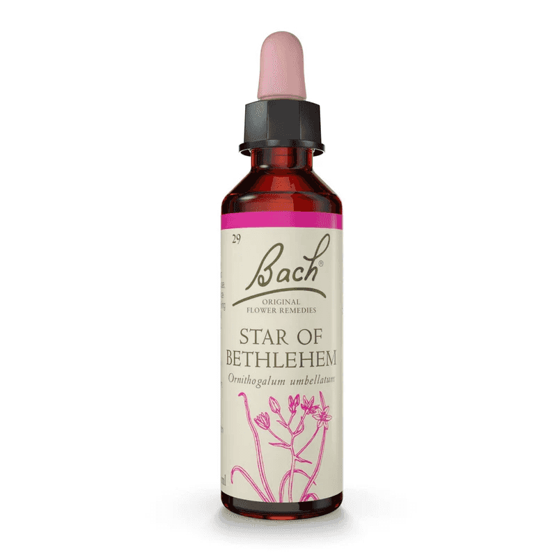 Star of Bethlehem Bach™ Original Flower Remedy 20ml Star of Bethlehem Bach™ Original Flower Remedy 20ml