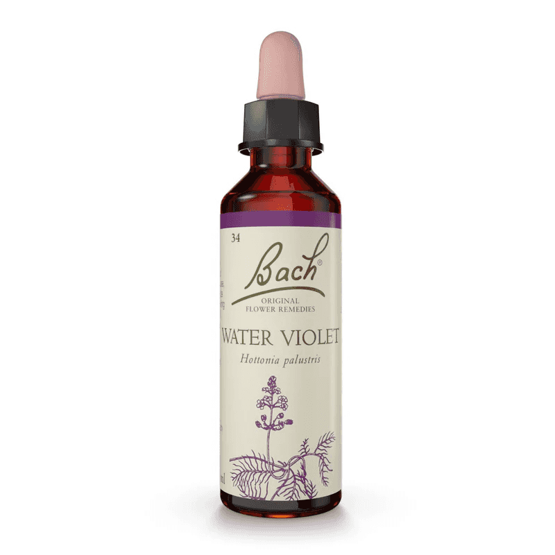 Water Violet Bach™ Original Flower Remedy 20ml Water Violet Bach™ Original Flower Remedy 20ml