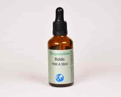 Örtspecialisten Boldo 50ml Örtspecialisten Boldo 50ml