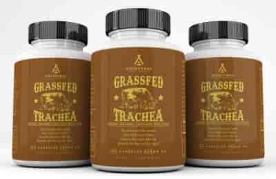 Ancestral Supplements Grass-Fed Bovine Trachea Cartilage 180 kapslar Ancestral Supplements Grass-Fed Bovine Trachea Cartilage 180 kapslar