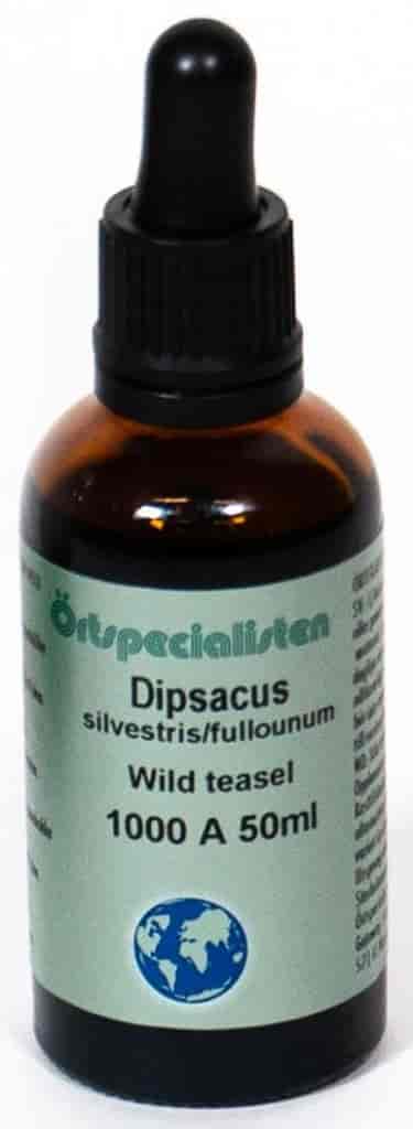 Örtspecialisten Dipsacus 1000A 50ml Örtspecialisten Dipsacus 1000A 50ml