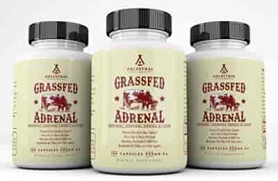Ancestral Supplements Grass-Fed Beef Adrenal 180 kapslar Ancestral Supplements Grass-Fed Beef Adrenal 180 kapslar