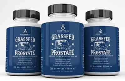 Ancestral Supplements Grass-Fed Beef Prostate 180 kapslar Ancestral Supplements Grass-Fed Beef Prostate 180 kapslar