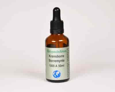 Örtspecialisten Kransborre 50ml Örtspecialisten Kransborre 50ml