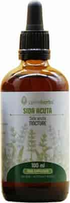Lymeherbs Sida Acuta Tincture 1:2 100ml Lymeherbs Sida Acuta Tincture 1:2 100ml
