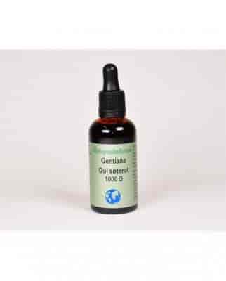 Örtspecialisten Gentiana 50ml Örtspecialisten Gentiana 50ml