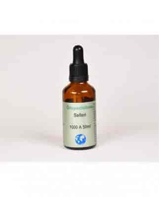 Örtspecialisten Selleri 50ml Örtspecialisten Selleri 50ml
