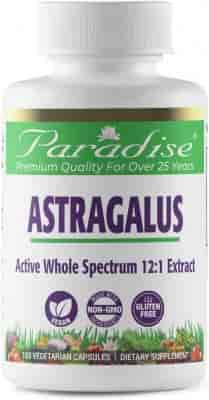 Paradise Herbs Astragalus Extract 250 mg 120 Veg Kapslar Paradise Herbs Astragalus Extract 250 mg 120 Veg Kapslar