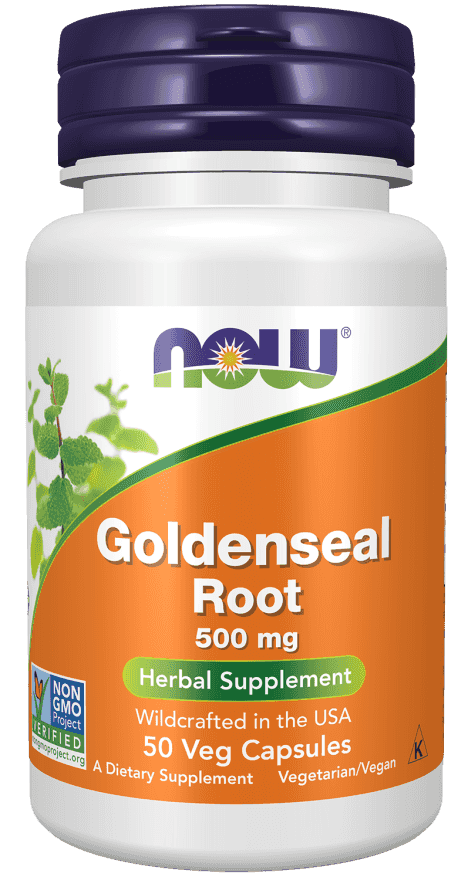 Now Goldenseal Root 500 mg 50 Veg Kapslar Now Goldenseal Root 500 mg 50 Veg Kapslar